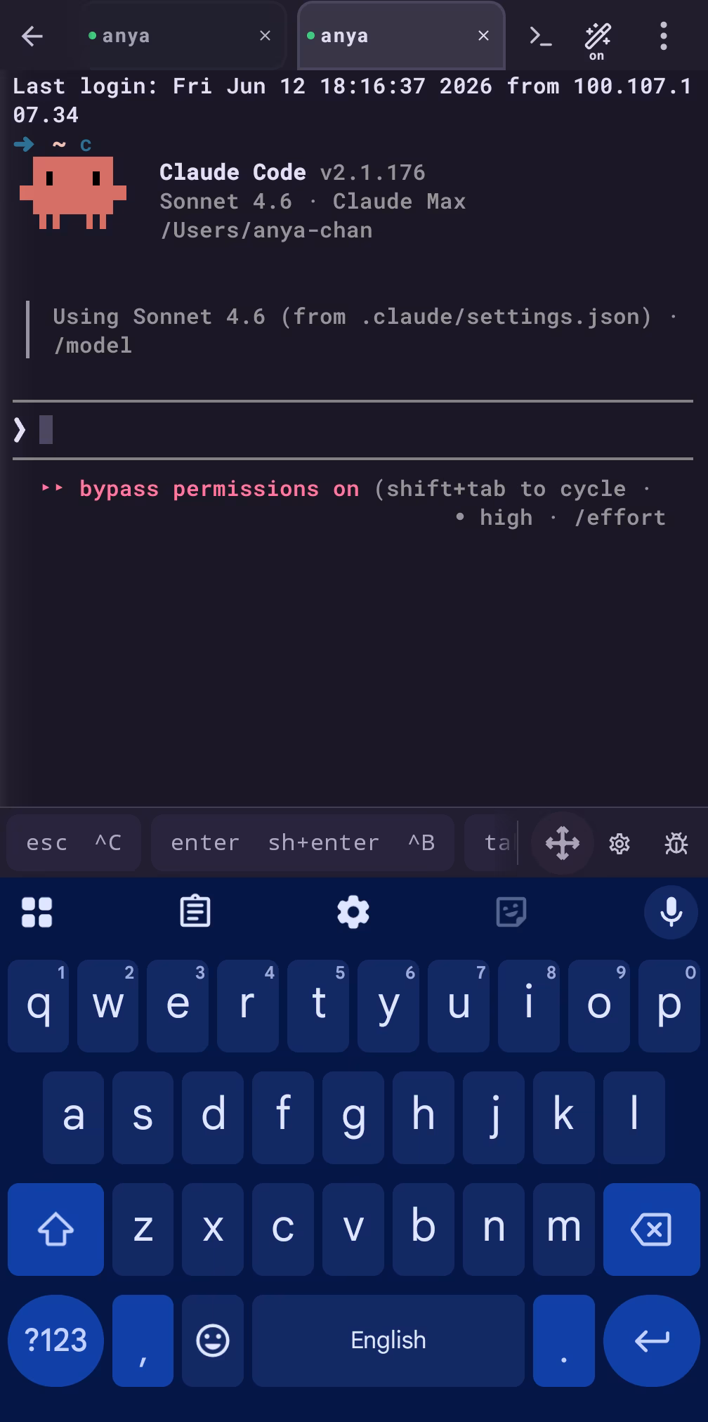 Claude Code starting up inside a Vector session tab, with a second session tab open beside it